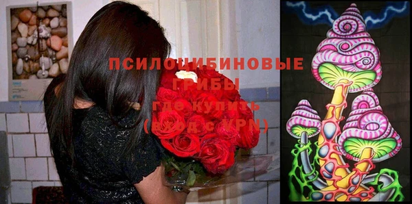 гидра Беломорск
