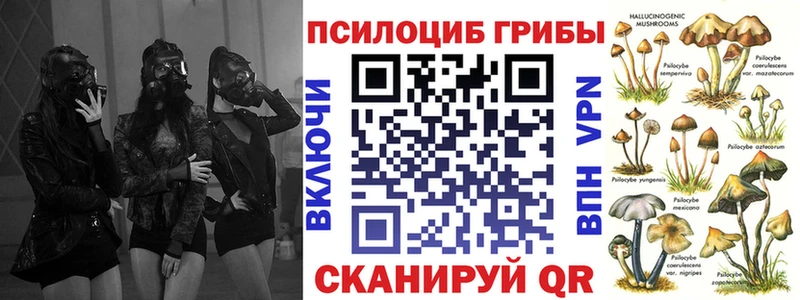 наркошоп  Брюховецкая  mega сайт  Галлюциногенные грибы Psilocybe 